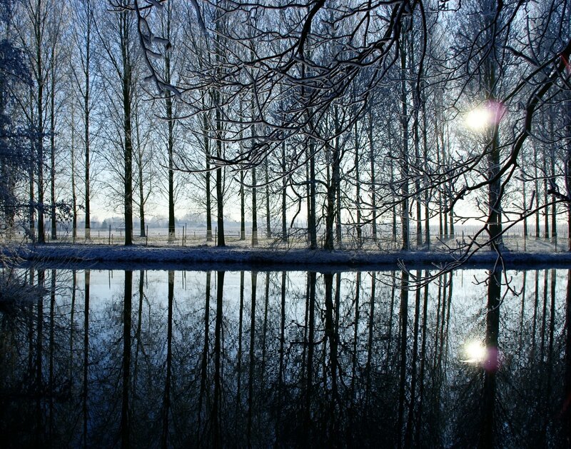 Frost-covered Trees — Blue, Serene, Winter, Photograph, River, Sun