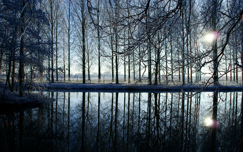 Frost-covered Trees — Blue, Serene, Winter, Photograph, River, Sunlight