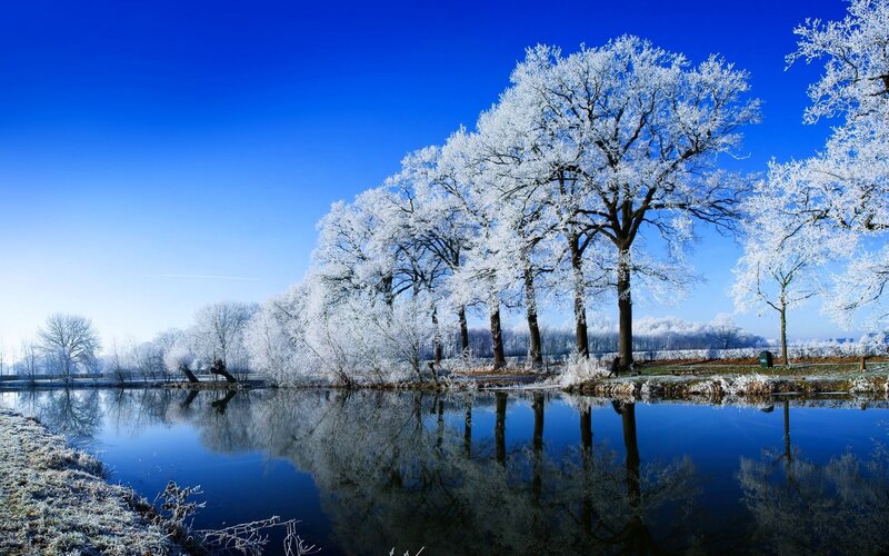 Frost-covered Trees — Blue, Serene, Winter, Photograph, River