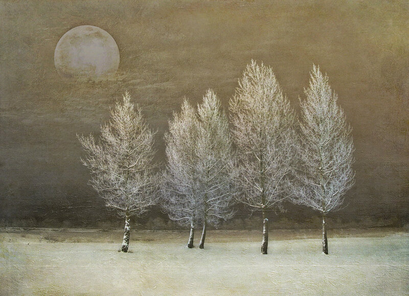Frost-covered Trees — Brown