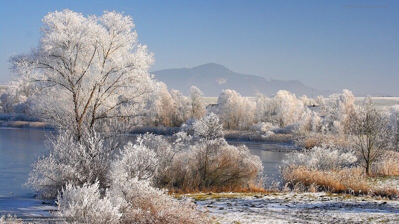 Frost-covered trees by a lake