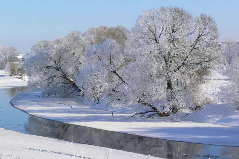 Frost-covered trees by a river