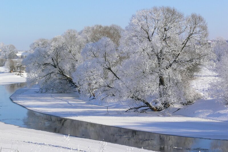 Frost-covered trees by a river