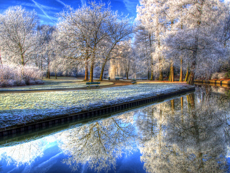 Frost-covered Trees by Canal — Blue