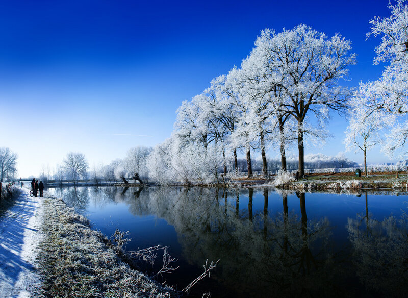 Frost-covered Trees by Canal