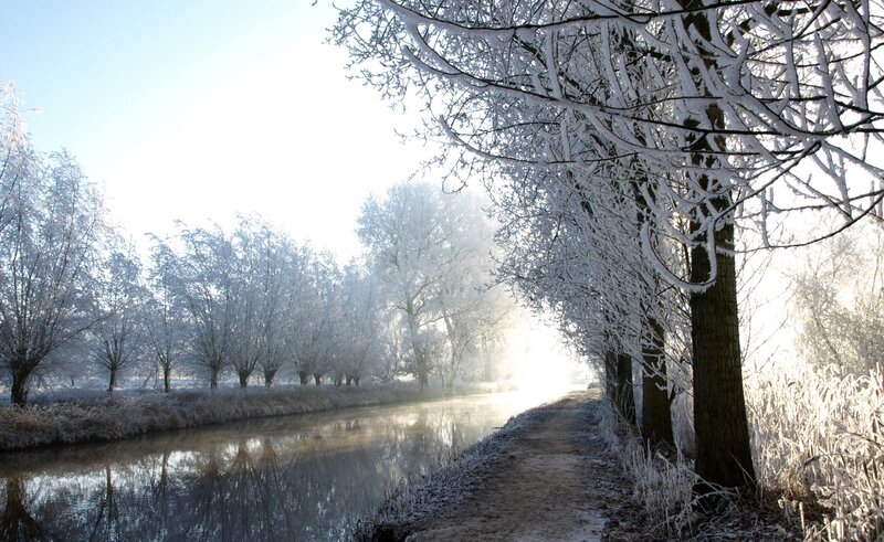 Frost-covered Trees by Canal — White, Serene