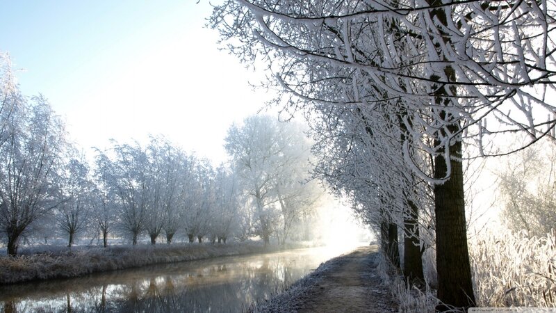 Frost-covered Trees by Canal — White