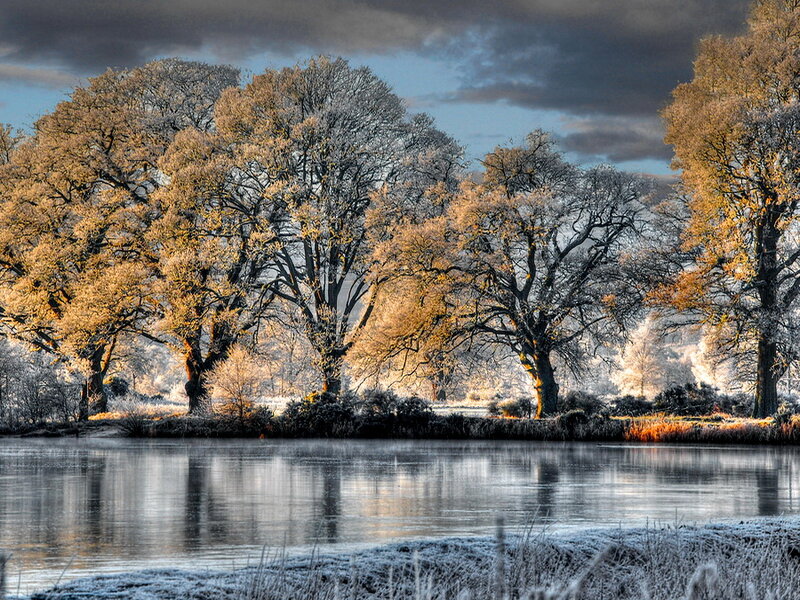 Frost-covered Trees by Lake — Blue, Dramatic