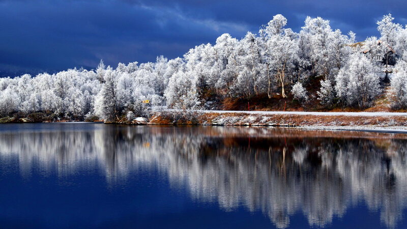 Frost-covered Trees by Lake — Blue, Dramatic, Winter