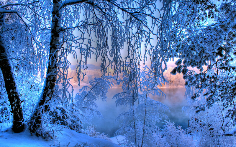 Frost-covered Trees by Lake — Blue, Serene, Winter