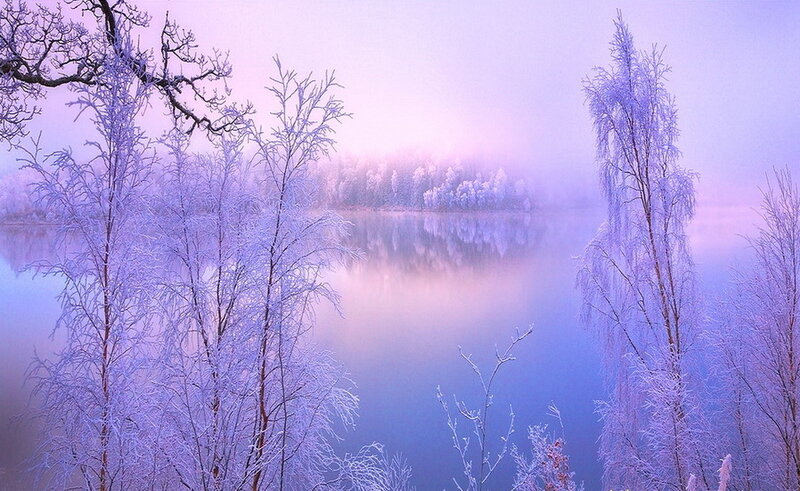 Frost-covered Trees by Lake — Purple