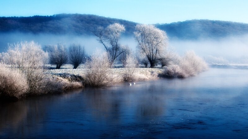Frost-covered Trees by River — Blue, Serene, Morning