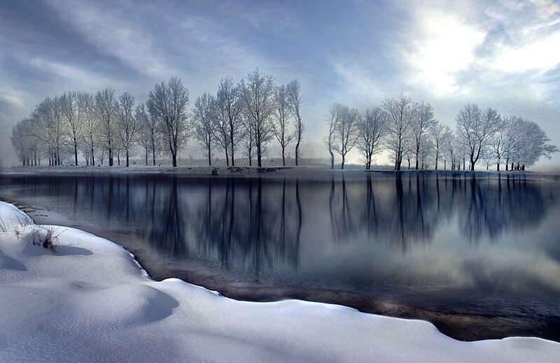 Frost-covered Trees by River — Blue, Serene