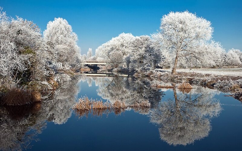 Frost-covered Trees by River — Blue, Serene, Winter, Photograph, Bridge