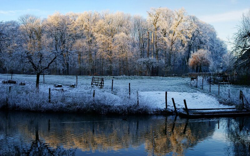 Frost-covered Trees by River — Blue, Serene, Winter, Photograph, Field