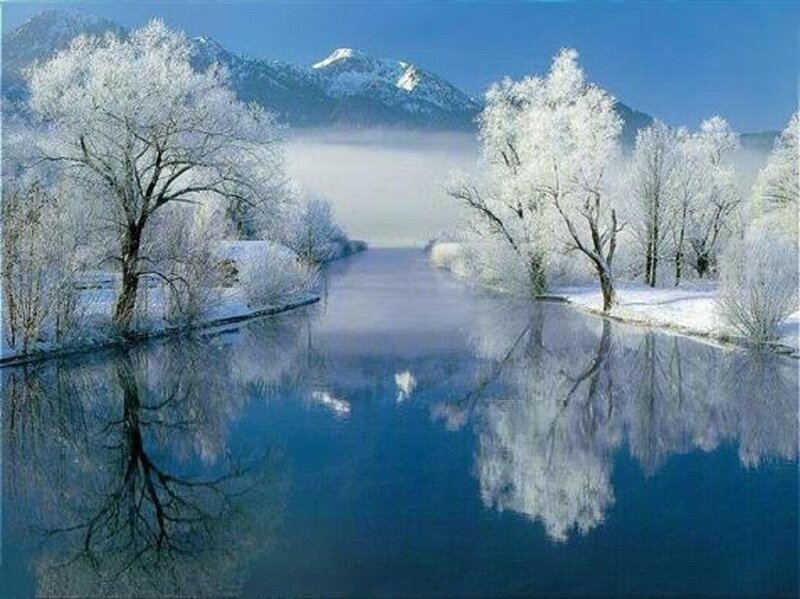 Frost-covered Trees by River — Blue, Serene, Winter, Photograph, Mountains