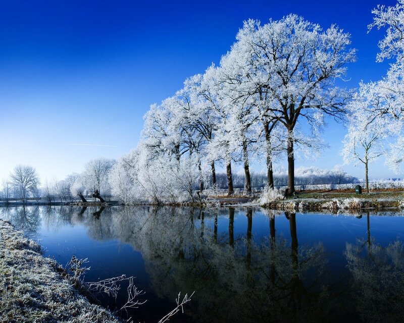 Frost-covered Trees by River — Blue, Serene, Winter, Photograph, Sky, Frost