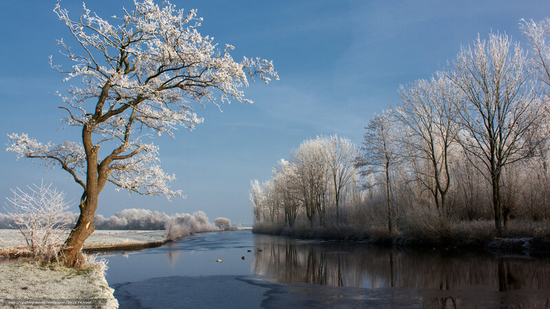 Frost-covered Trees by River — Blue, Serene, Winter, Photograph, Sky, Ice