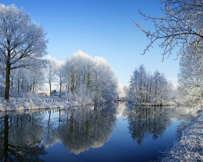 Frost-covered Trees by River — Blue, Serene, Winter, Photograph, Sky, Snow, White