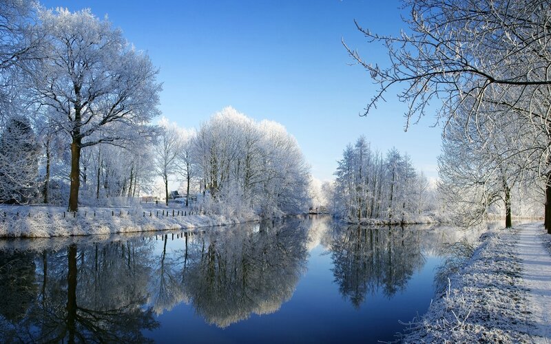 Frost-covered Trees by River — Blue, Serene, Winter, Photograph, Snow, Path