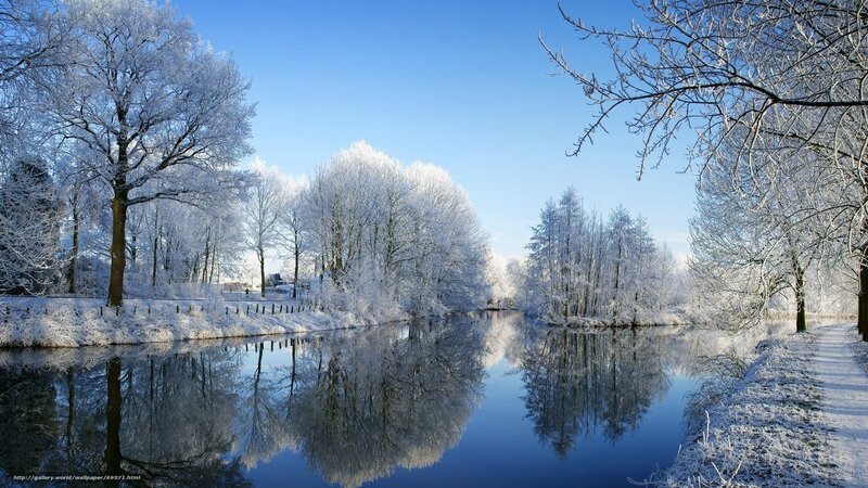 Frost-covered Trees by River — Blue, Serene, Winter, Photograph, Snow
