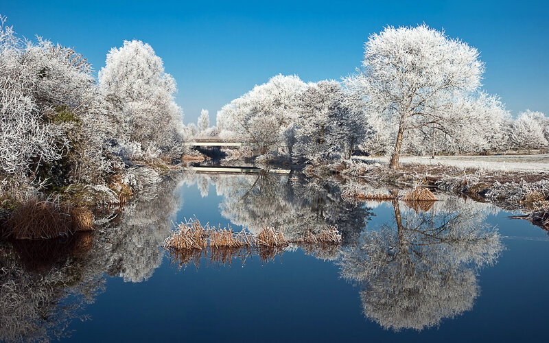 Frost-covered Trees by River — Blue, Serene, Winter, Photograph