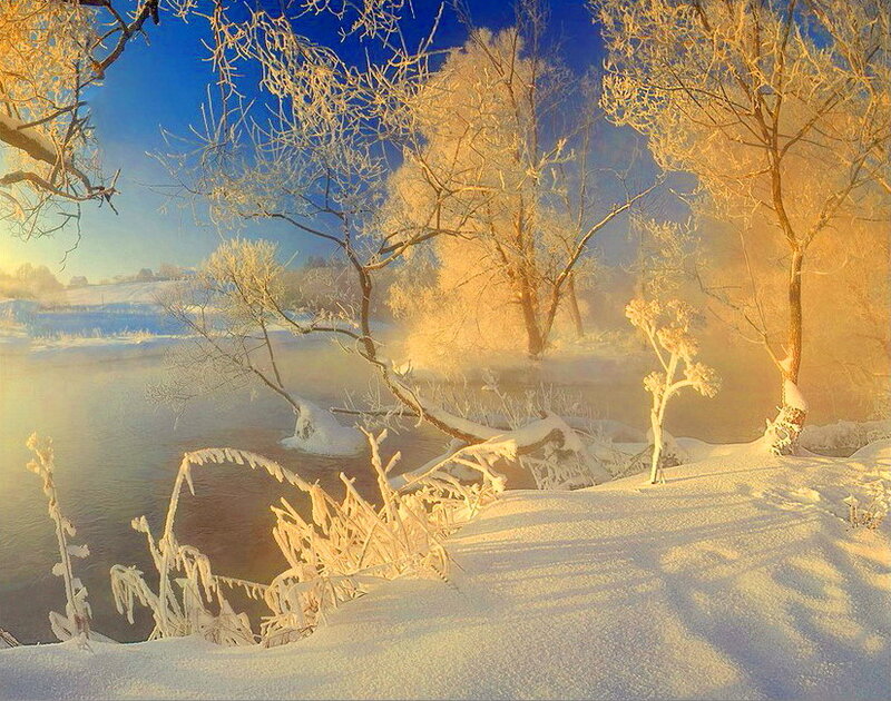 Frost-covered Trees by River — Blue, Serene, Winter