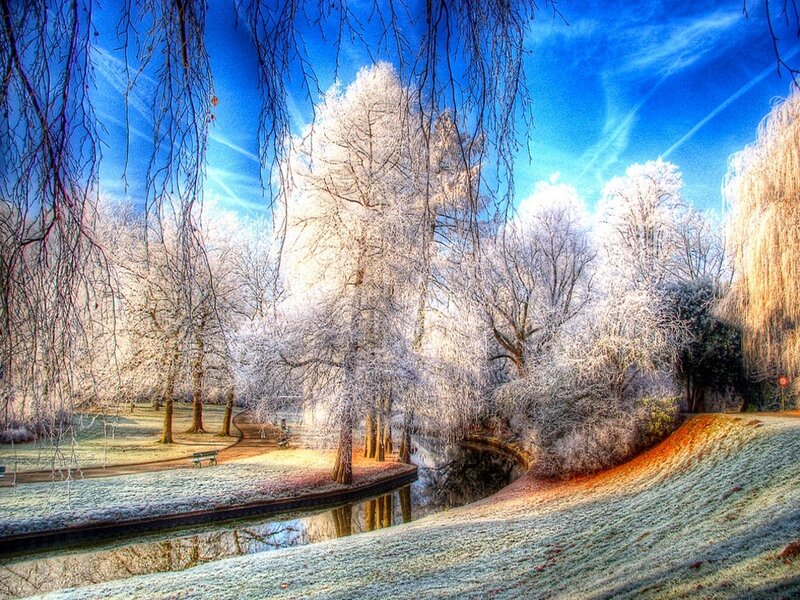 Frost-covered Trees by River — Blue