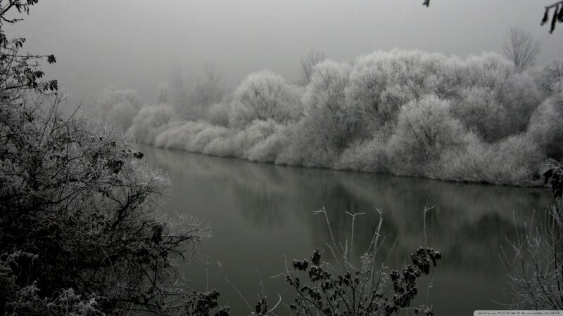 Frost-covered Trees by River — Gray