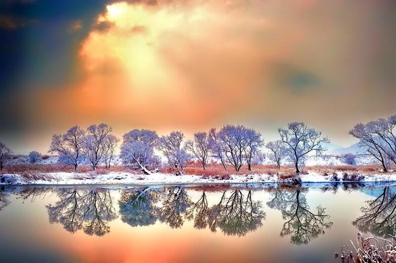 Frost-covered Trees by River — Orange, Dramatic
