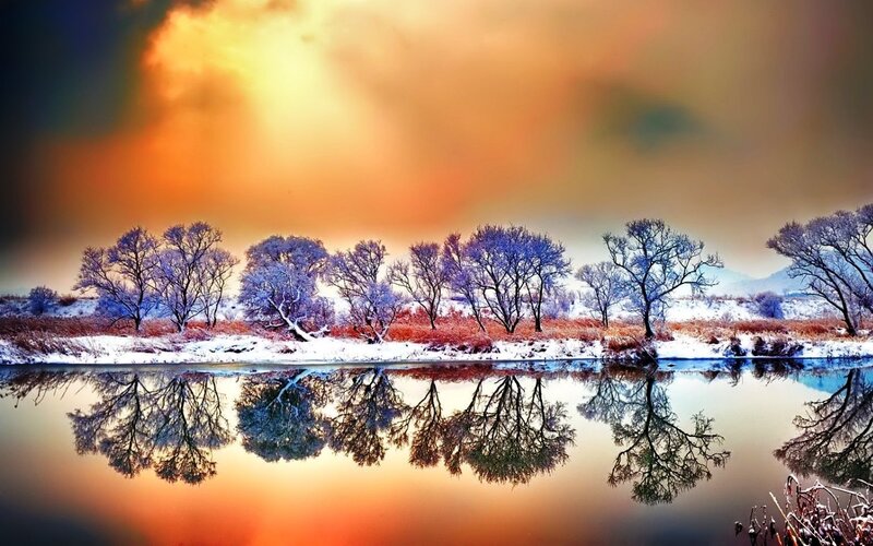 Frost-covered Trees by River — Orange, Dramatic, Winter