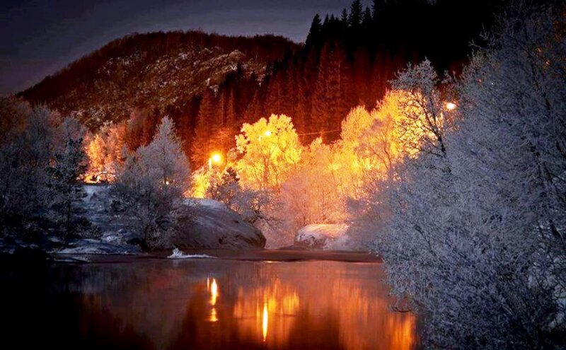 Frost-covered Trees by River — Orange, Serene