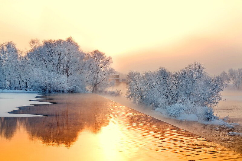 Frost-covered Trees by River — Orange