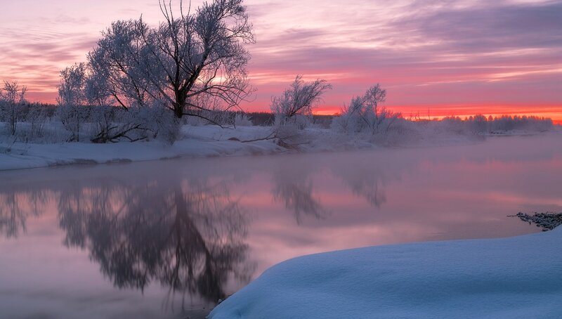 Frost-covered Trees by River — Pink, Serene