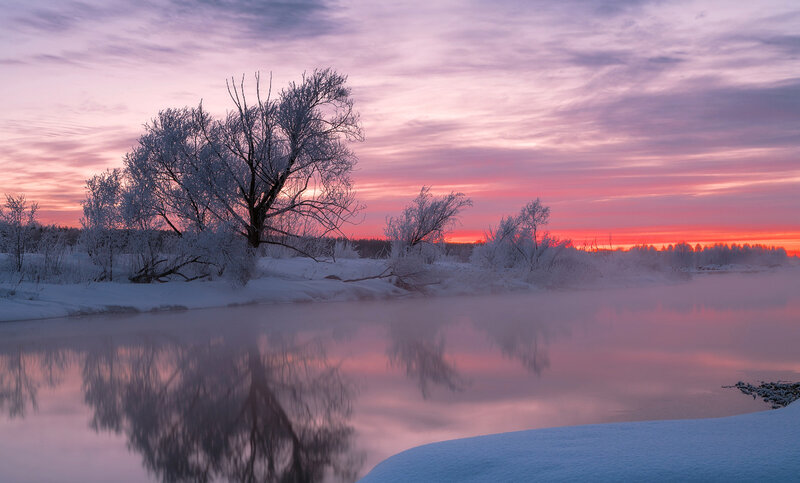 Frost-covered Trees by River — Pink