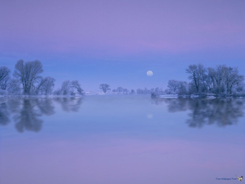 Frost-covered Trees by River — Purple, Serene