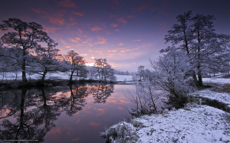Frost-covered Trees by River — Purple, Serene, Winter