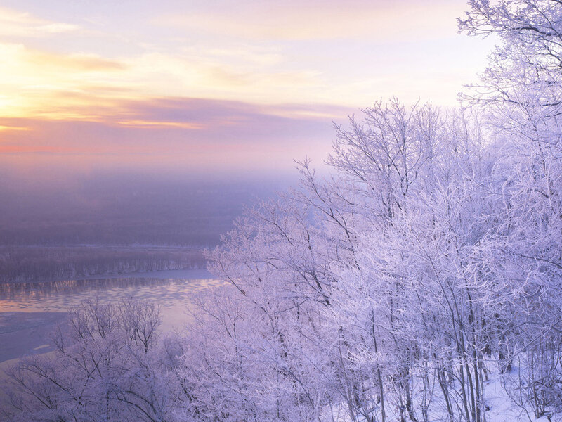 Frost-covered Trees by River — Purple