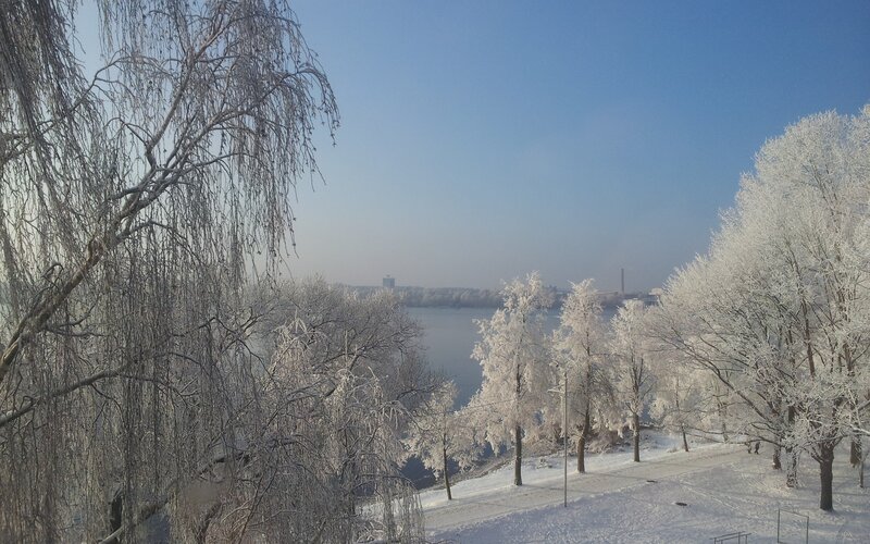 Frost-covered Trees by River — Sky