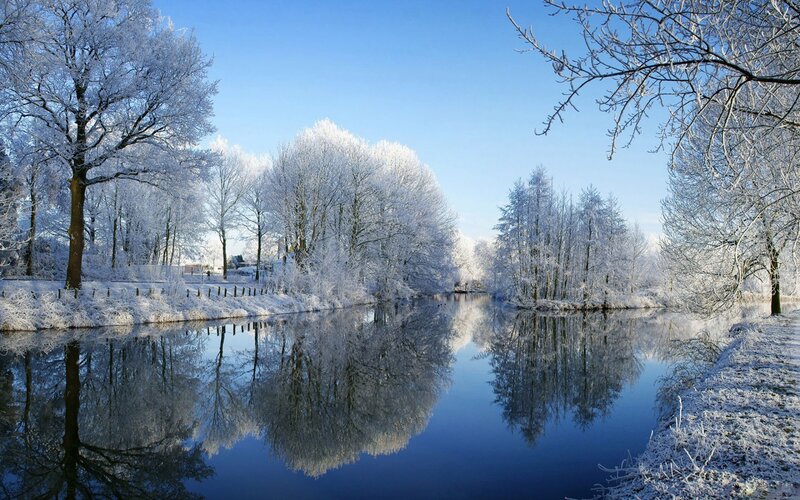 Frost-covered Trees by River — Snow