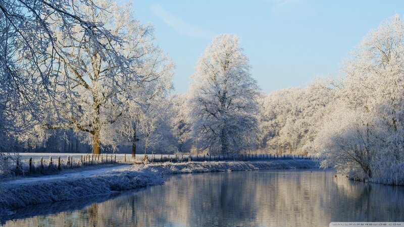 Frost-covered Trees by River — White, Serene, Winter, Photograph, Fence
