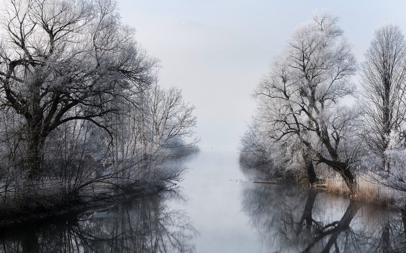 Frost-covered Trees by River — White, Serene, Winter, Photograph, Fog, Mountain