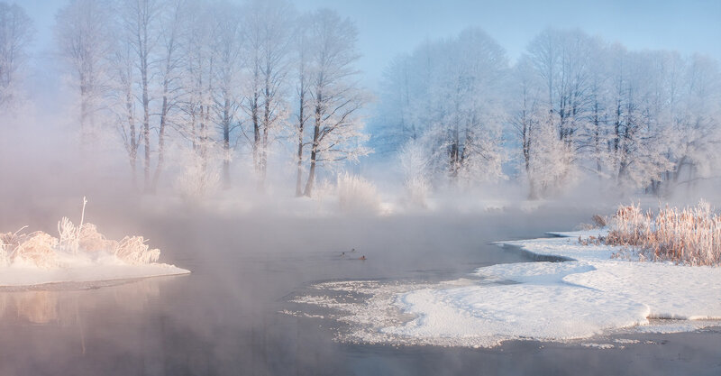 Frost-covered Trees by River — White, Serene, Winter, Photograph, Fog