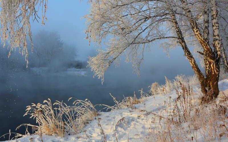 Frost-covered Trees by River — White, Serene, Winter, Photograph, Frost