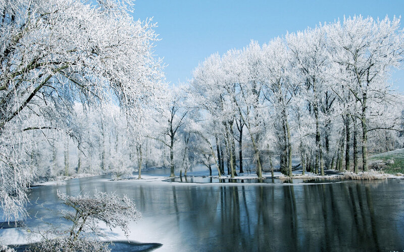 Frost-covered Trees by River — White, Serene, Winter, Photograph, Sky