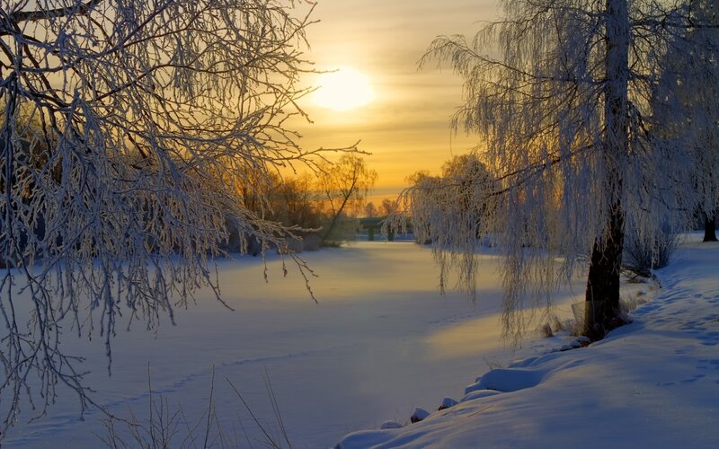 Frost-covered Trees by River — White, Serene, Winter, Photograph, Sun