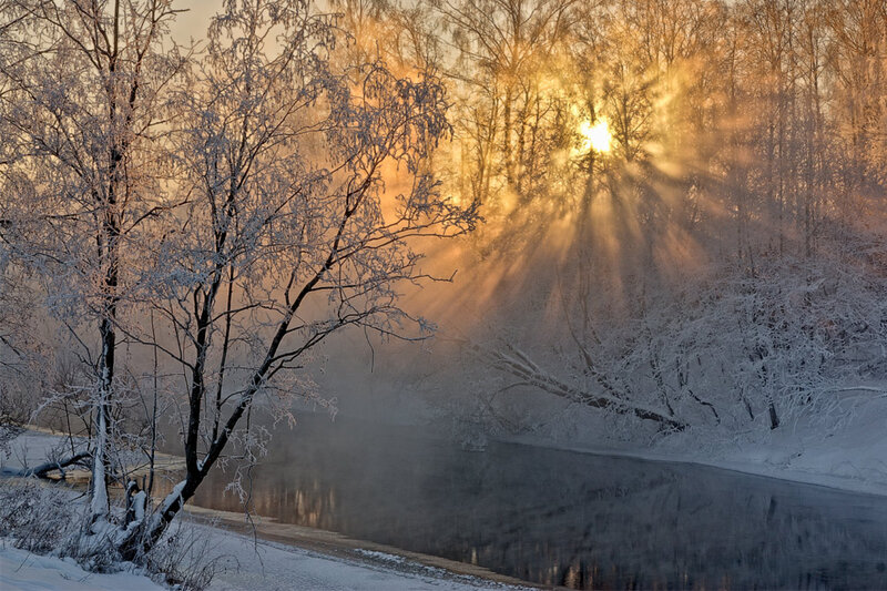 Frost-covered Trees by River — White, Serene, Winter, Photograph, Sunlight