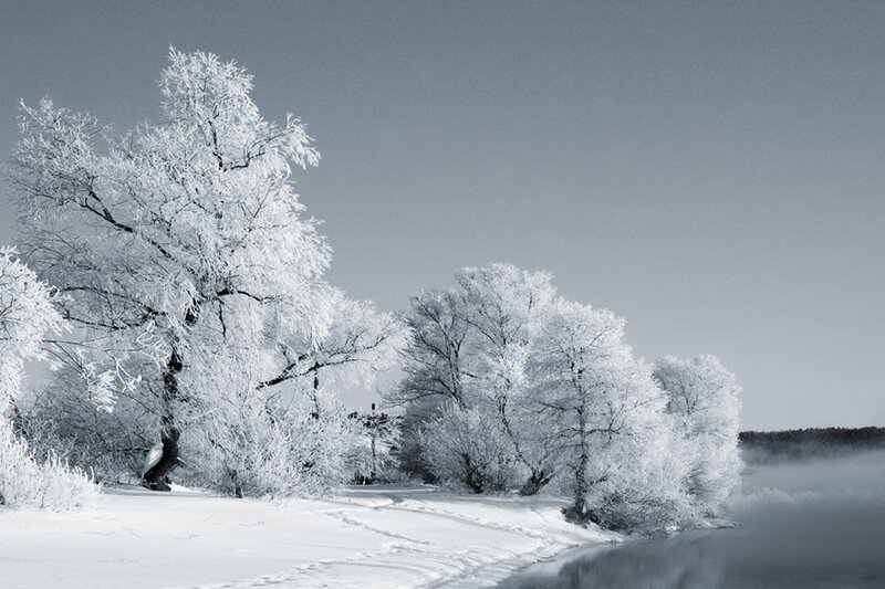 Frost-covered Trees by River — White
