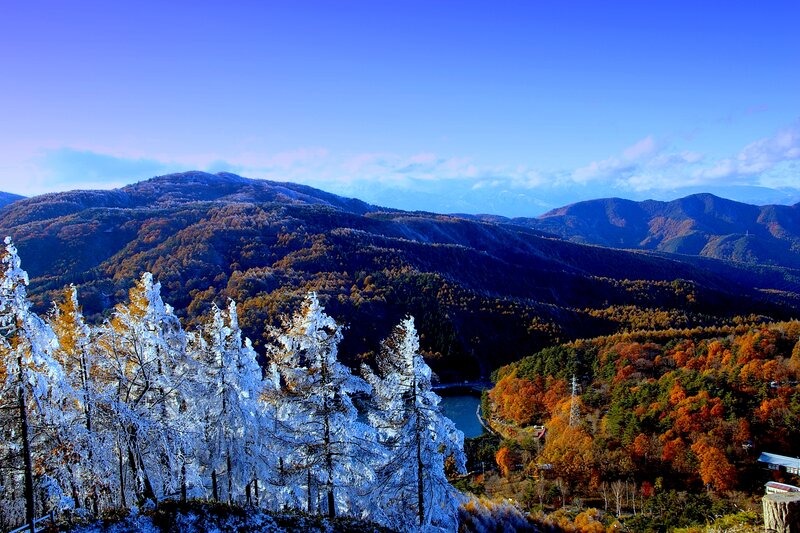 Frost-covered Trees in Mountains