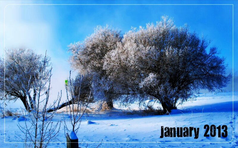 Frost-covered Trees in Snow — Blue, Cold